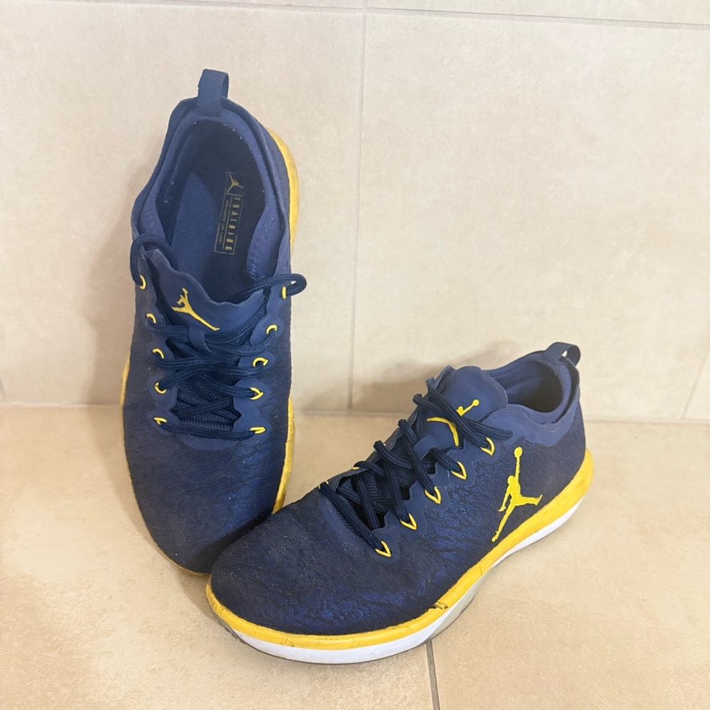 Nike Jordan Trainer 1 Low